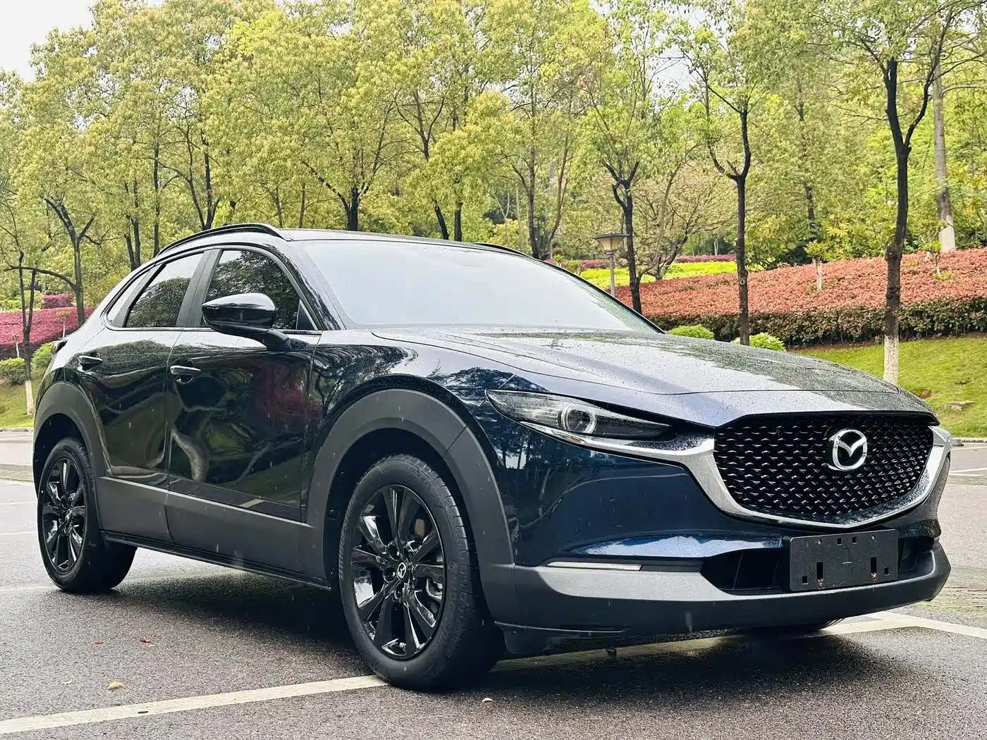  CX 30