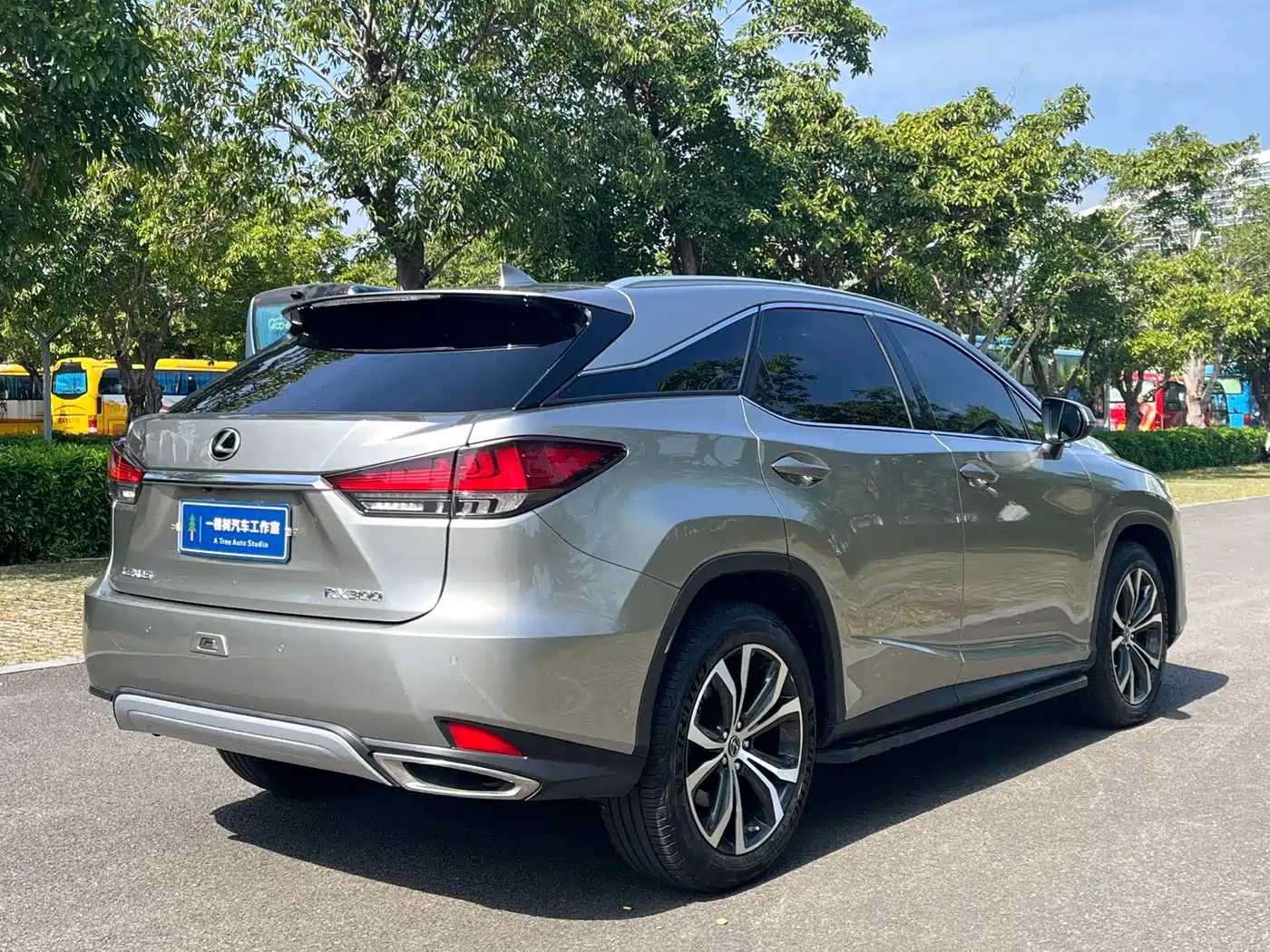 LEXUS RX