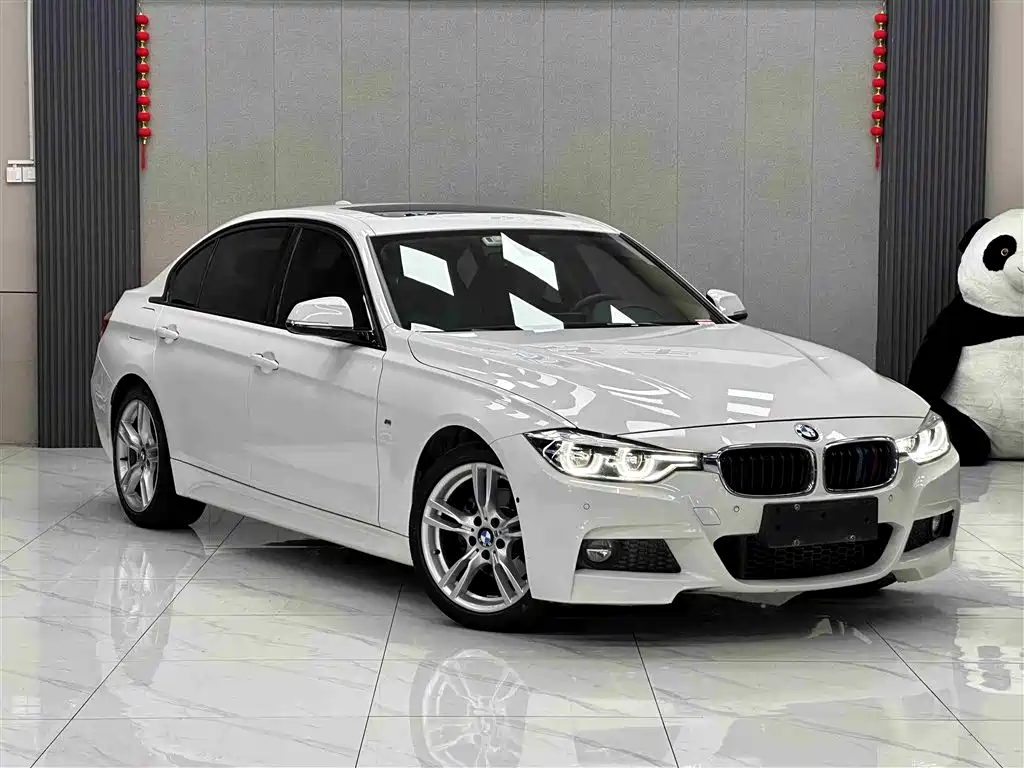 BMW 3 Series 2019 320Li M Sport Package фото 3