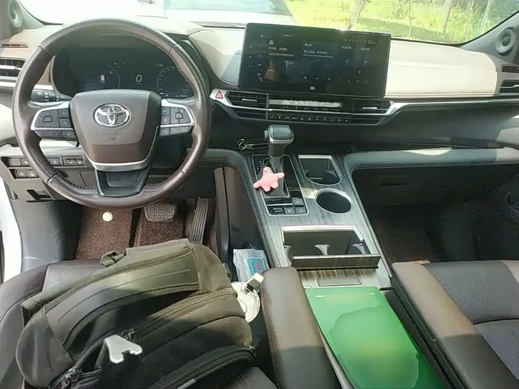 Toyota Sienna 2021 2.5L Hybrid Platinum Edition фото 10