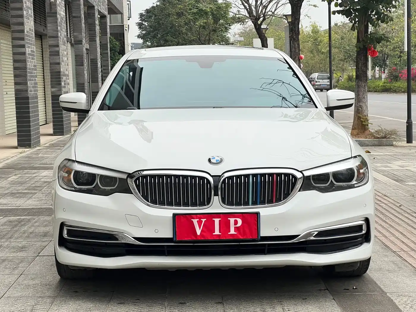 BMW 5 Series 2019 530Li Leading Luxury Package фото 2
