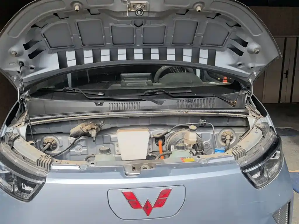 Wuling Motors Wuling Yangguang 2024 2024 300KM Comfort Bus Version 75kW
