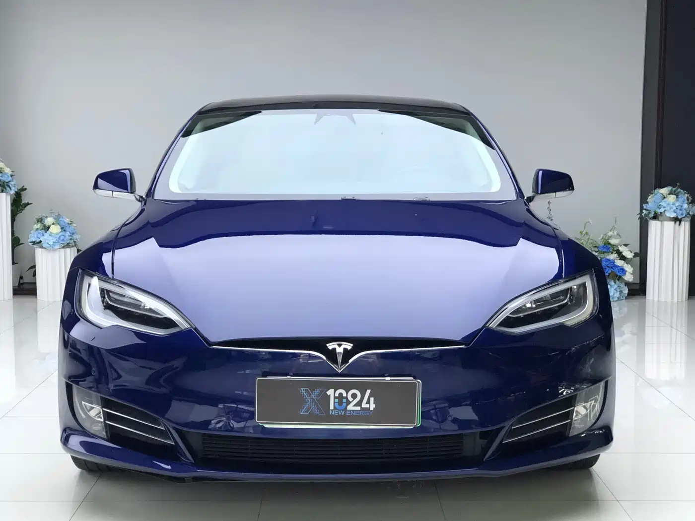 Tesla Model S 2019 2017 Model S 100D
