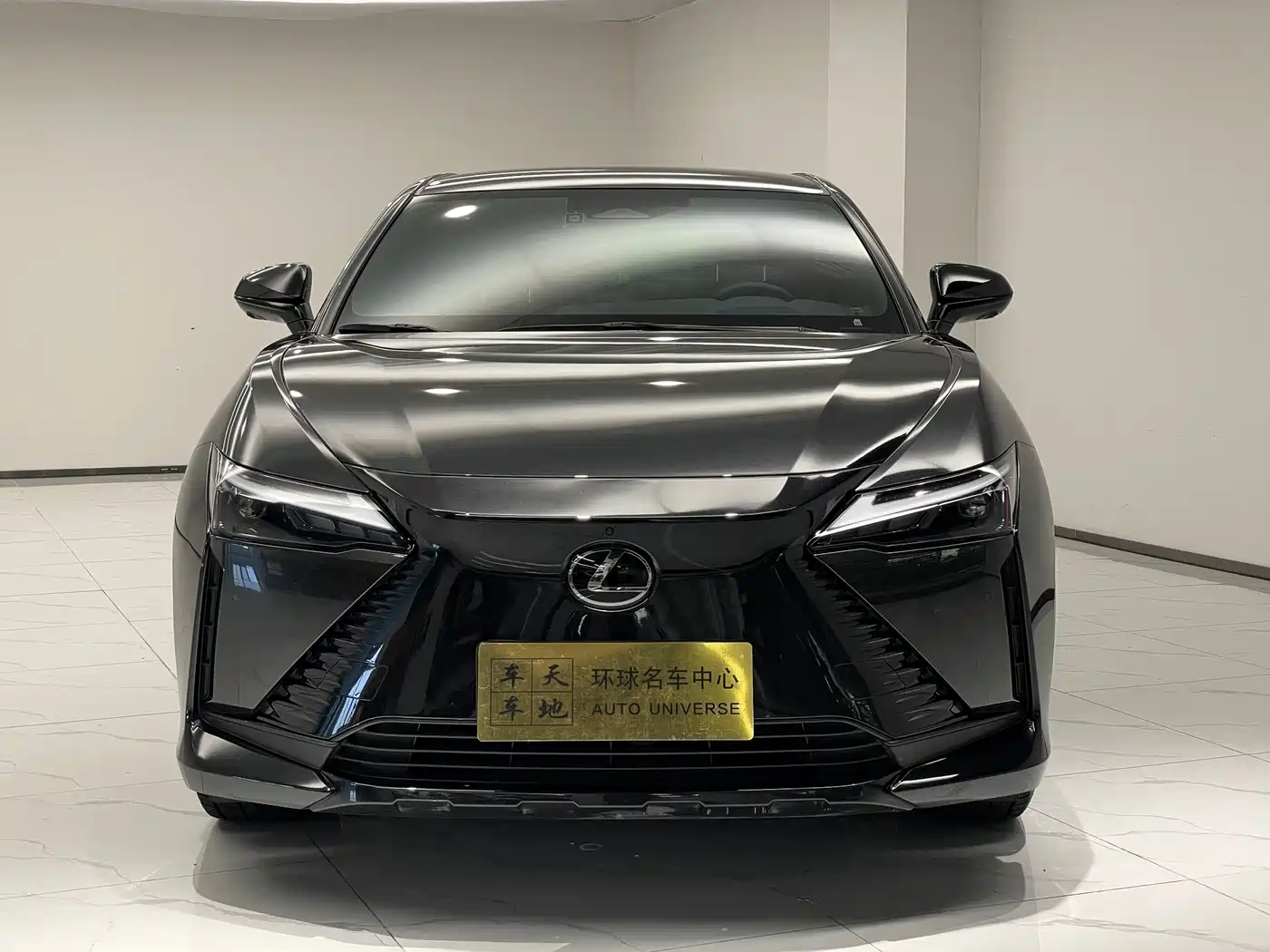 Lexus RZ 2023 450e 4WD Premium фото 2