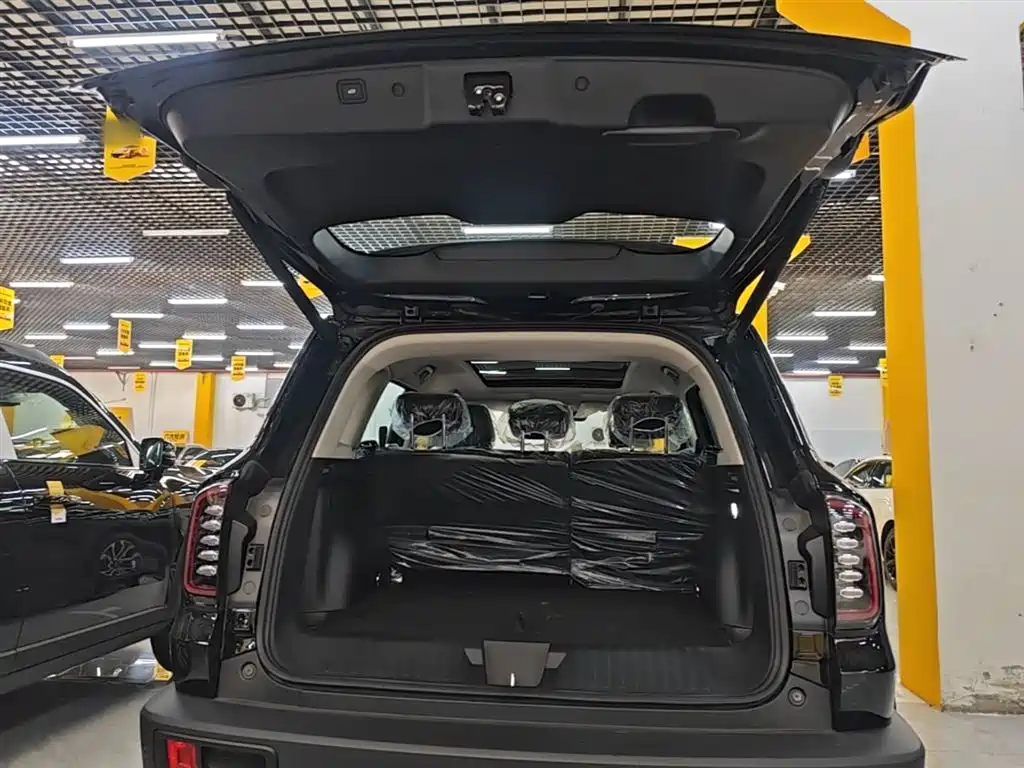 Haval Big Dog 2026 Model 1.5T High Configuration фото 19