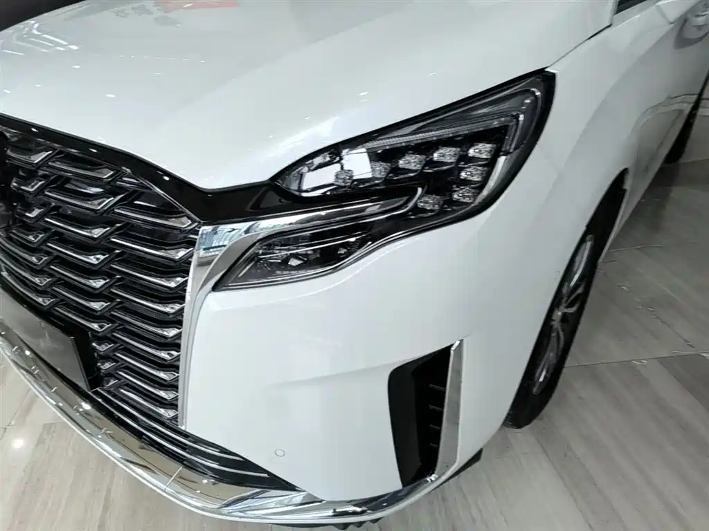 Buick GL8 2023 ES Landmaster Exclusive фото 18