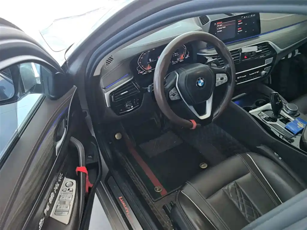 BMW 5 Series 2020 530Li Leading Luxury Package фото 16