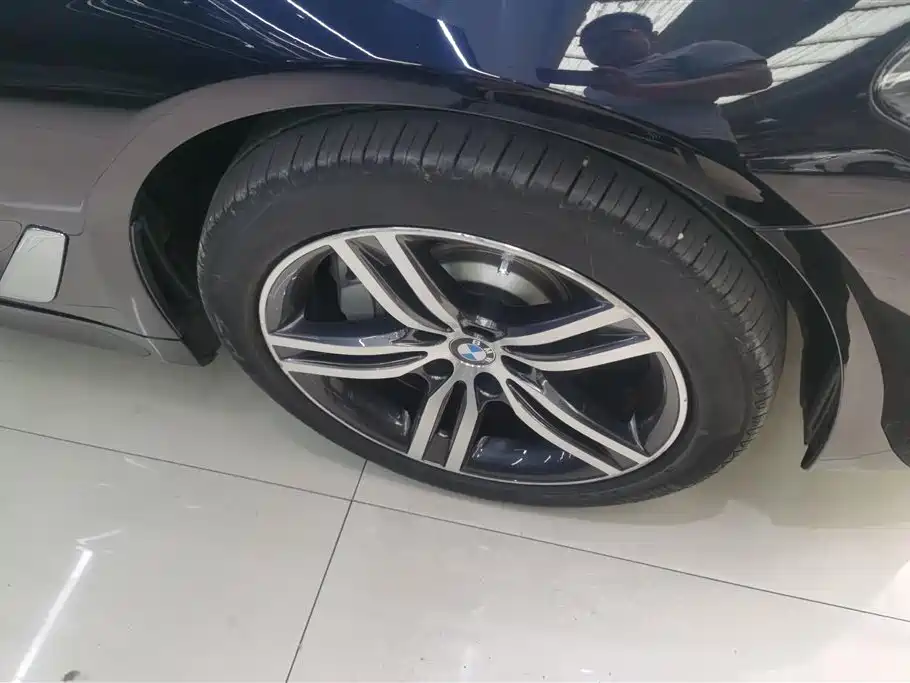 BMW 5 Series 2022 530Li xDrive Luxury Package фото 6