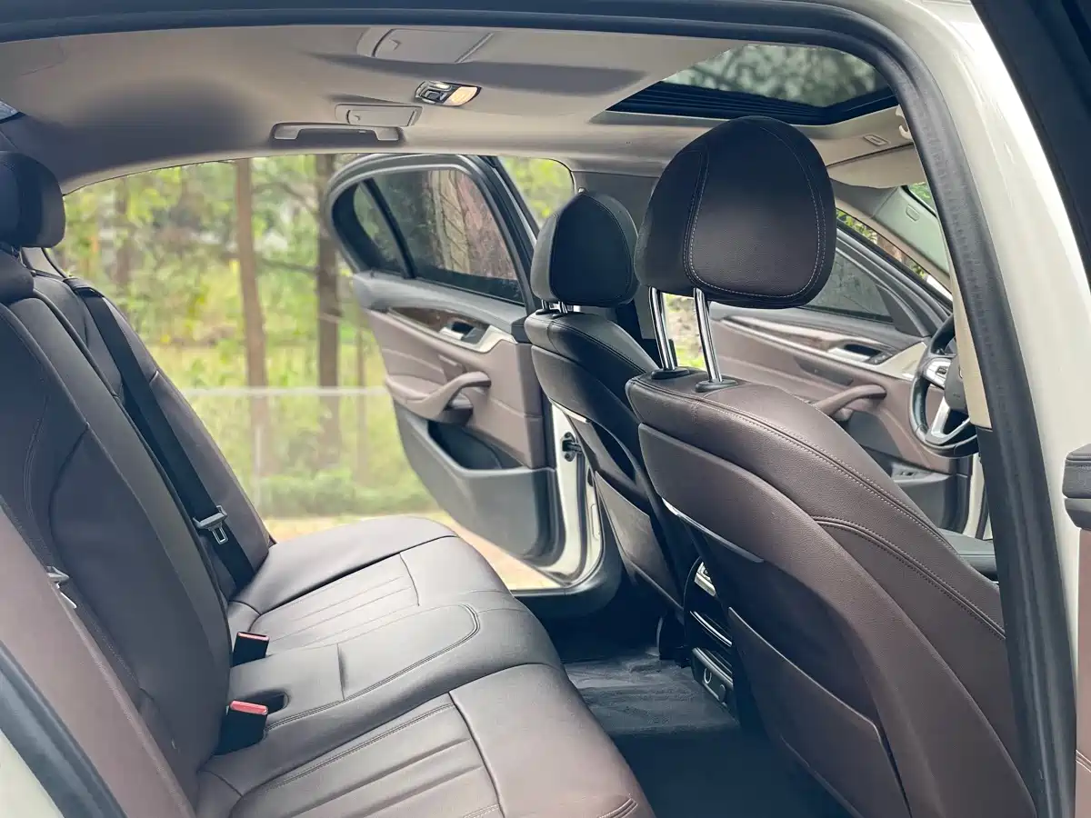 BMW 5 Series 2019 Facelift 525Li Luxury Package фото 18
