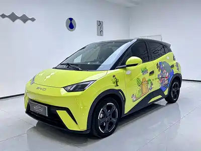 BYD Seagull