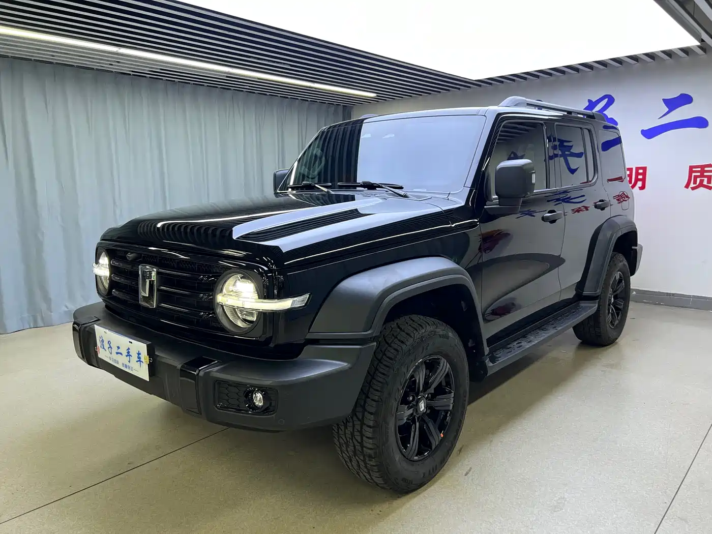 Tank 300 2023 Off-Road Edition 2.0T Conqueror