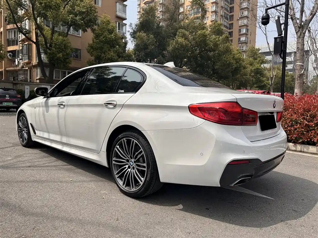 BMW 5 Series 2018 530Li Premium M Sport Package фото 14