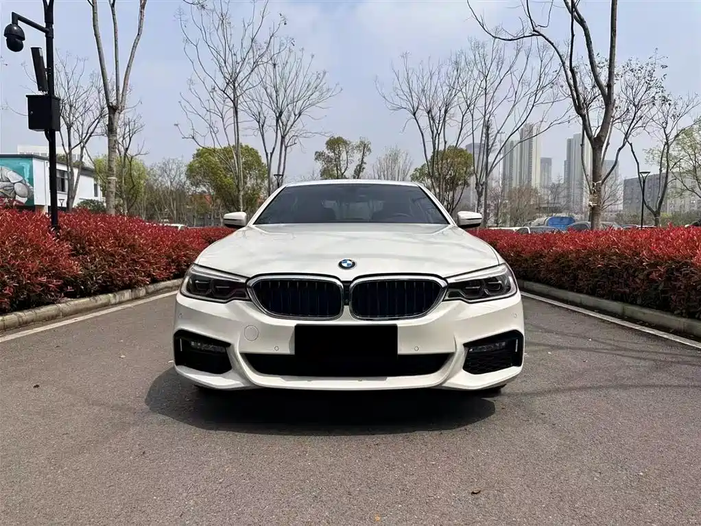 BMW 5 Series 2018 530Li Premium M Sport Package фото 2