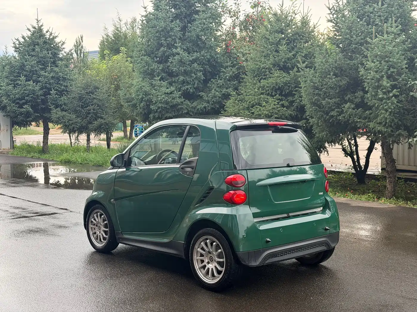 smart fortwo 2013 2013 1.0 MHD New Year Special Edition