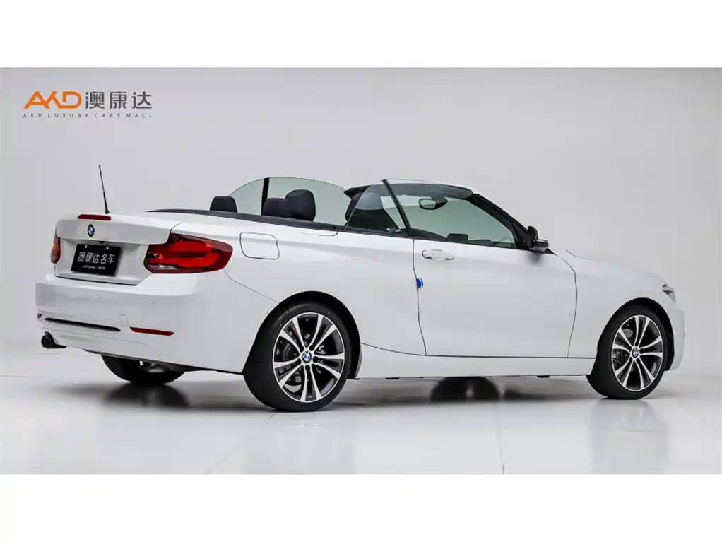 BMW 2 Series (Import) 2019 225i Convertible Coupe Sport Design Package фото 3
