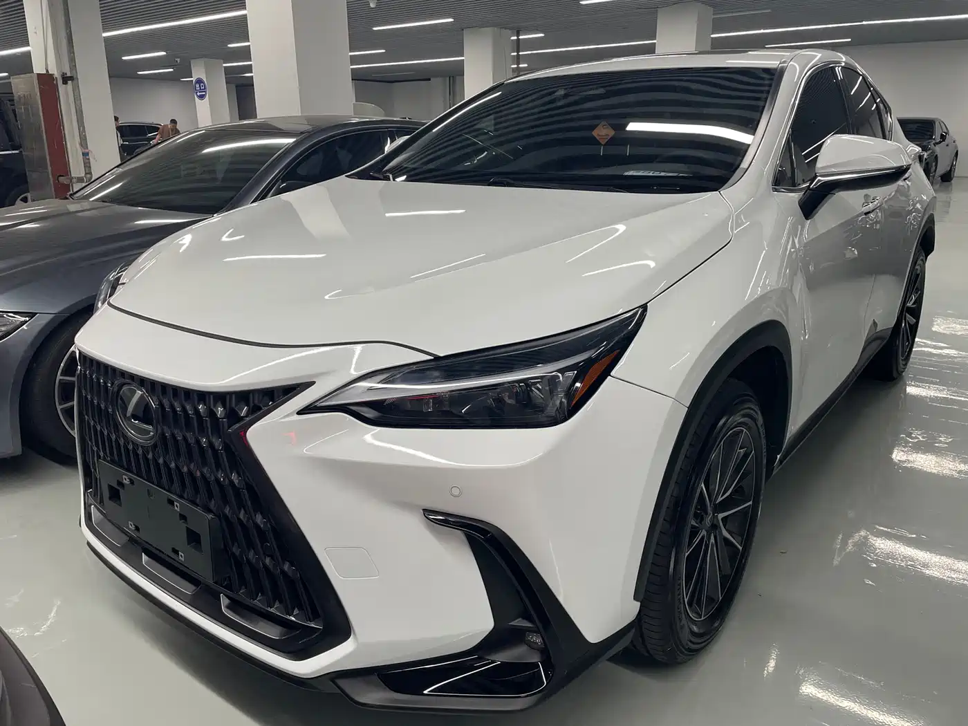 LEXUS NX