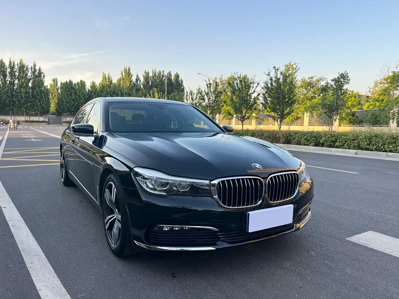 BMW 7 Series 2017 730Li Leading Edition фото 3