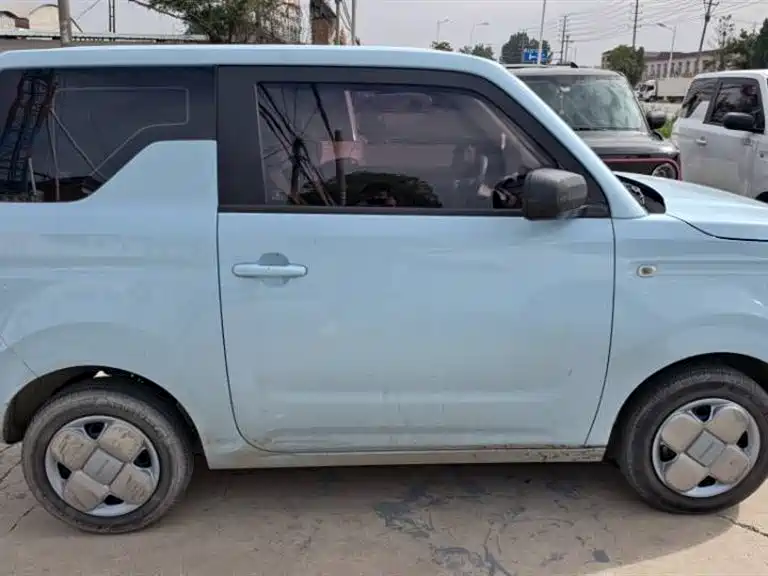 Geely Galaxy Panda 2023 Panda Mini 200km Endurance Bear фото 7