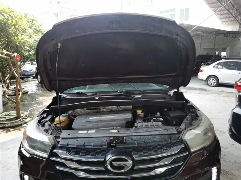 GAC Trumpchi Trumpchi GS4 2015 200T G-DCT Comfort Edition фото 20