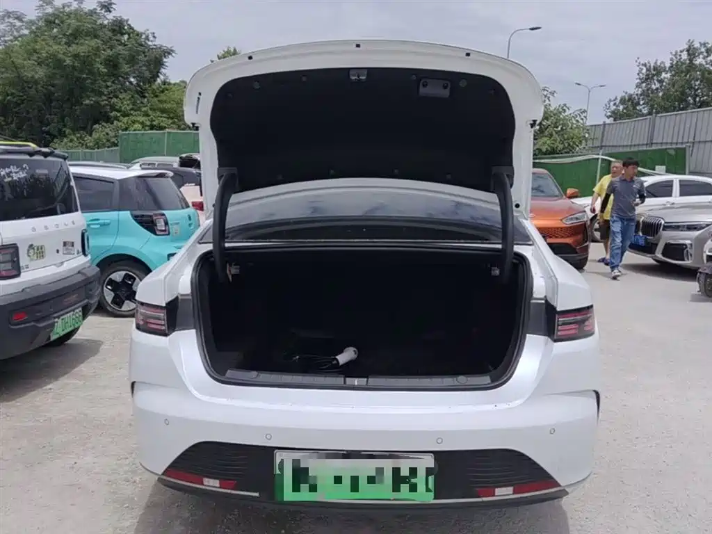 BYD Destroyer 05 2024 Glory Edition DM-i 55KM Luxury фото 19