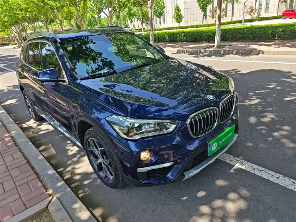 BMW X1 2019 xDrive20Li Premium Model фото 4