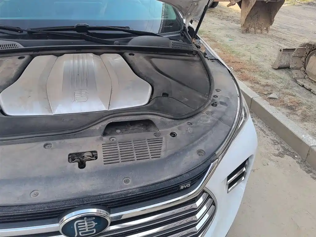 BYD Tang New Energy 2019 DM 2.0T AWD Intelligent Genesis Edition 7-seater China VI фото 24