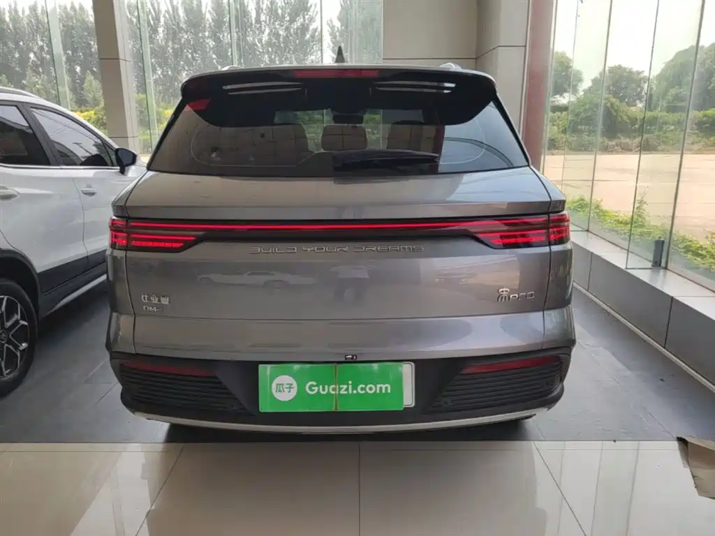 BYD Song Pro New Energy 2024 Glory Edition DM-i 71KM Pilot фото 6