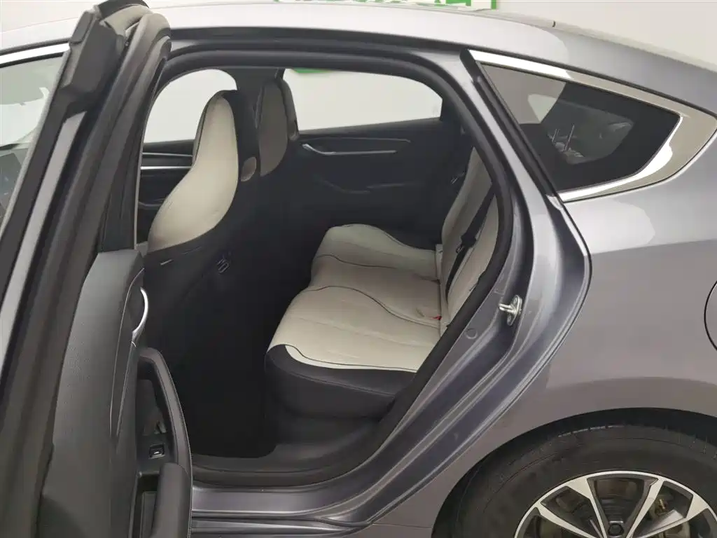 BYD Destroyer 05 2023 Champion Edition DM-i 55KM Luxury фото 15