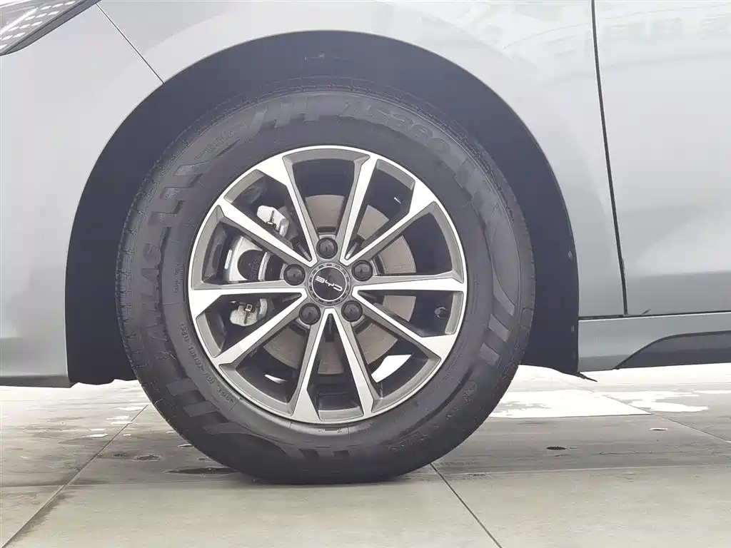 BYD Destroyer 05 2023 Champion Edition DM-i 55KM Luxury фото 17