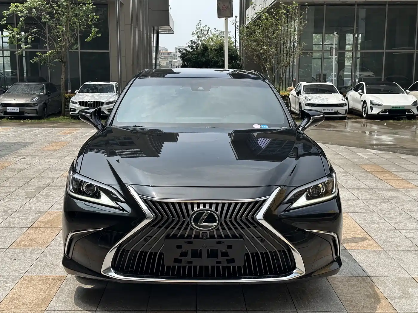 Lexus ES 2020 200 Excellence фото 3