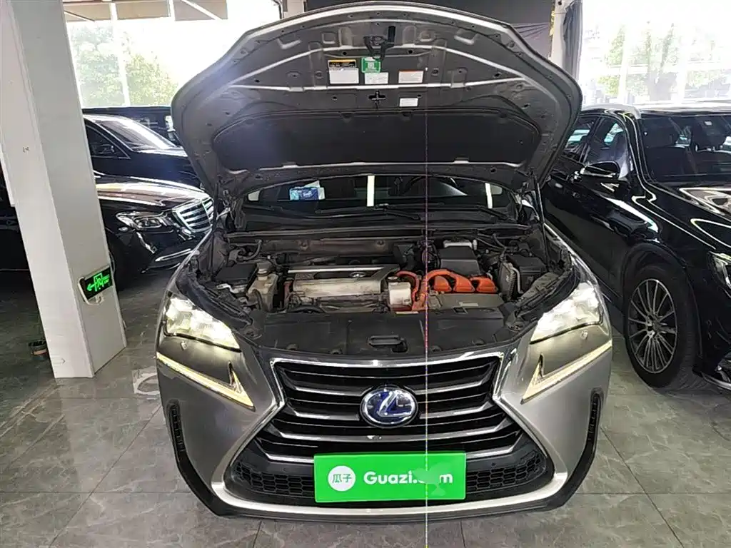 Lexus NX 2015 300h AWD F SPORT фото 20