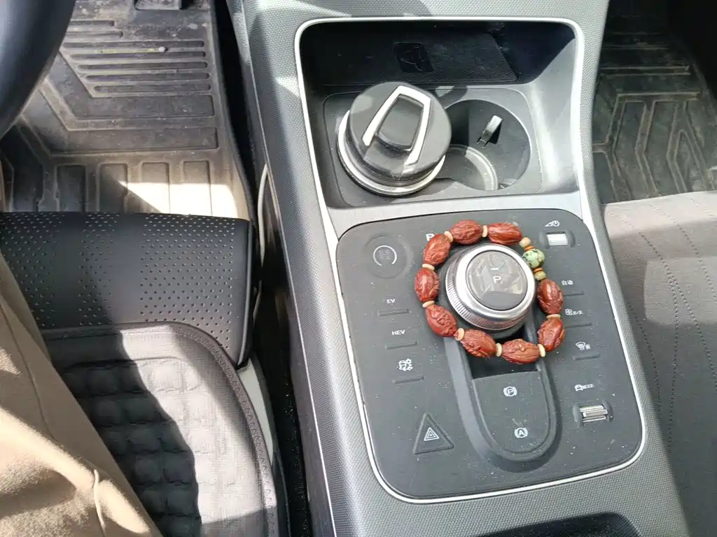 BYD Destroyer 05 2023 2022 DM-i 55KM Premium