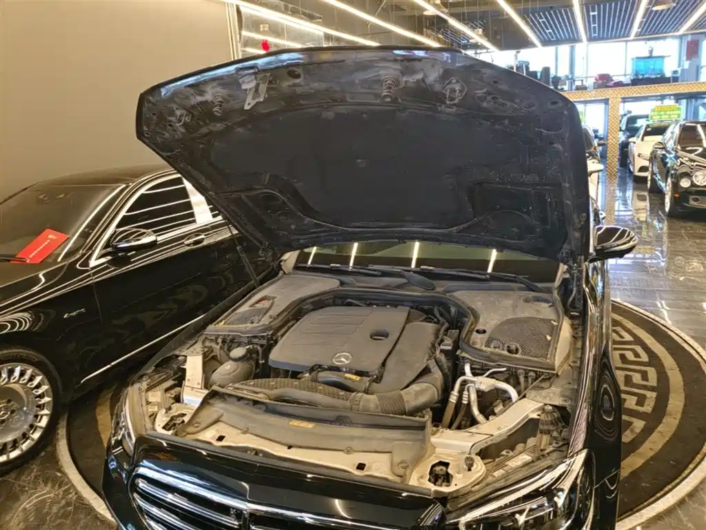 Mercedes-Benz E-Class 2023 E 300 L Luxury фото 20