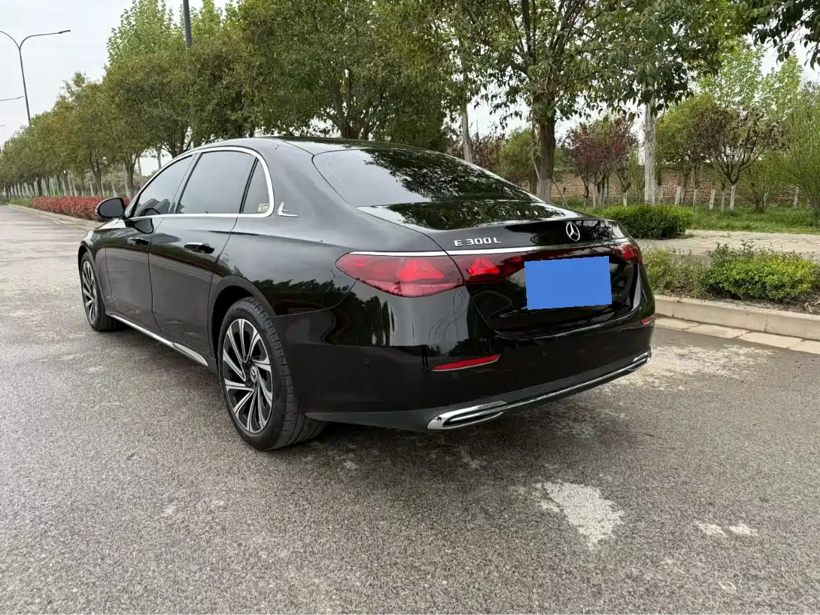 Mercedes-Benz E-Class 2024 Model E 300 L Luxury фото 9