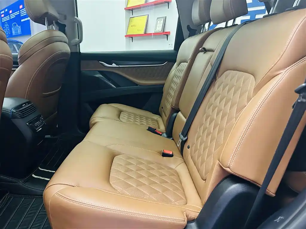 SAIC Maxus D90 Pro 2021 2.0T Diesel 4WD Lop Nur Edition 7-Seater фото 22