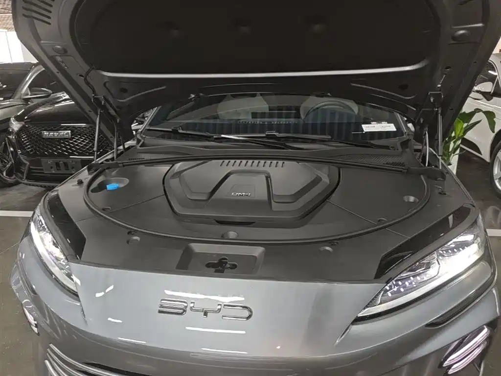 BYD Song PLUS PHEV 2024 Glory Edition DM-i 110km Flagship PLUS фото 20