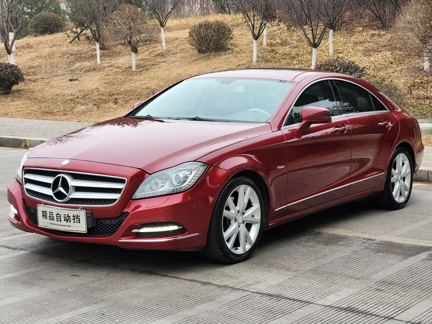 Mercedes-Benz CLS 2012 CLS 300 CGI фото 7
