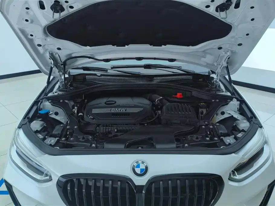 BMW 1 Series 2021 120i M Sport Shadow Edition фото 10