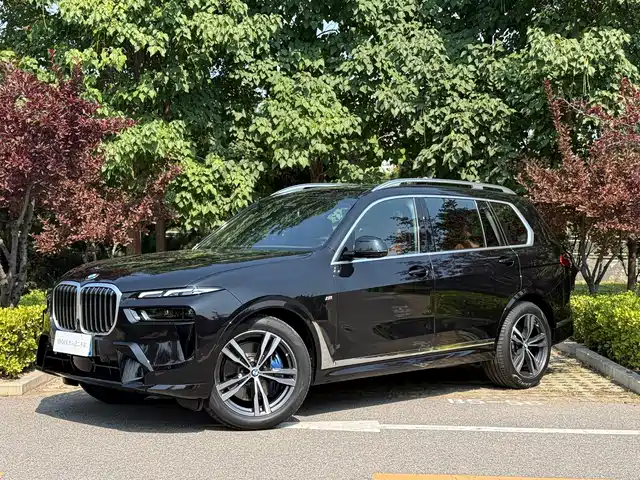 BMW X7, фото 1