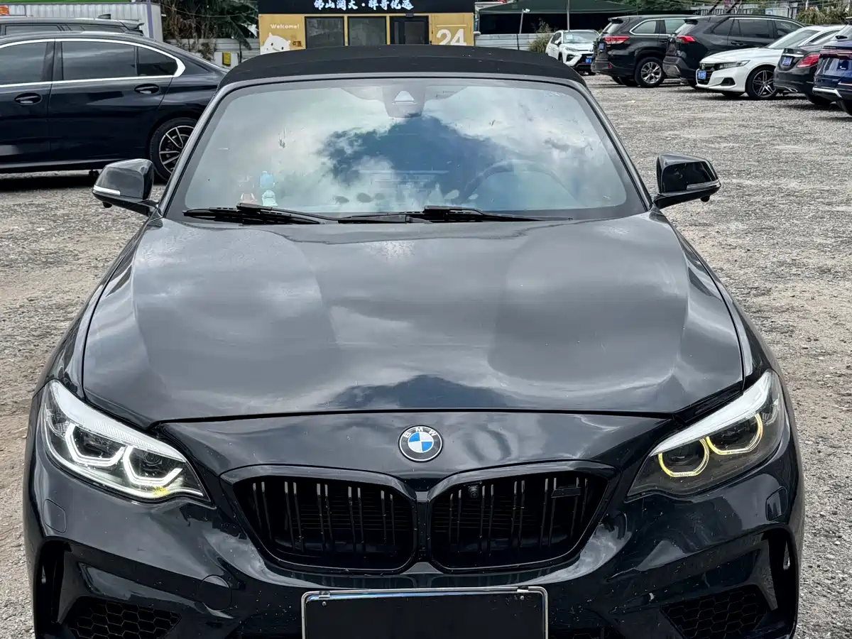 BMW 2 Series (Import) 2019 225i Convertible Coupe Exclusive M Sport Package фото 2