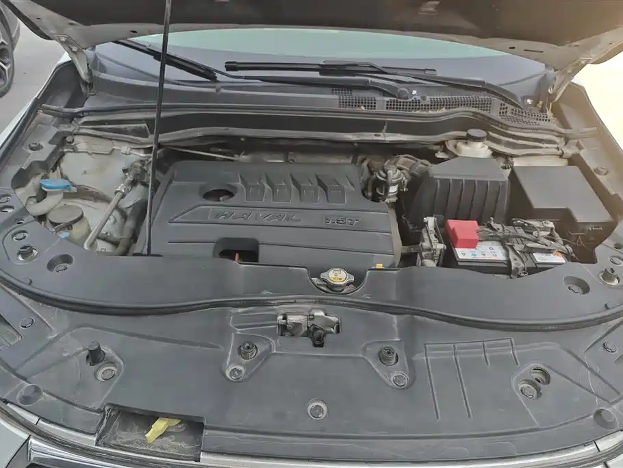 Haval H6 2018 Blue Label Sport 1.5T Automatic 2WD Premium фото 10