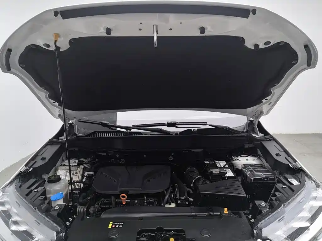 Haval H6S 2022 2022 Model 2.0T 2WD Smart Run Edition