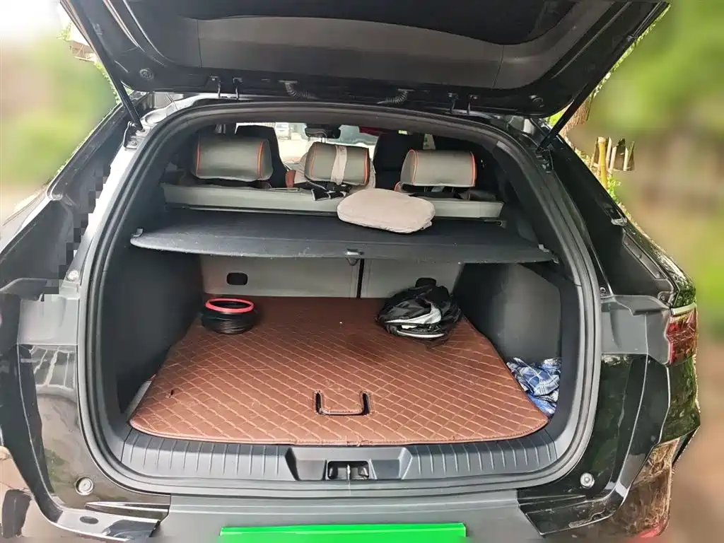 BYD Song PLUS 2020 1.5T Automatic Premium фото 10