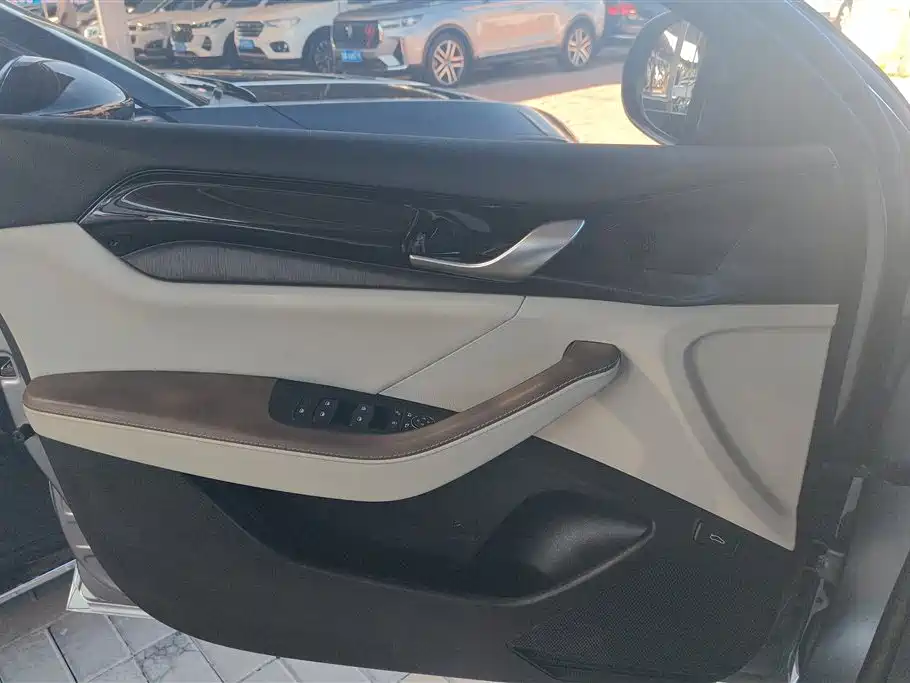 BYD Qin PLUS 2023 Champion Edition DM-i 55KM Leading фото 7