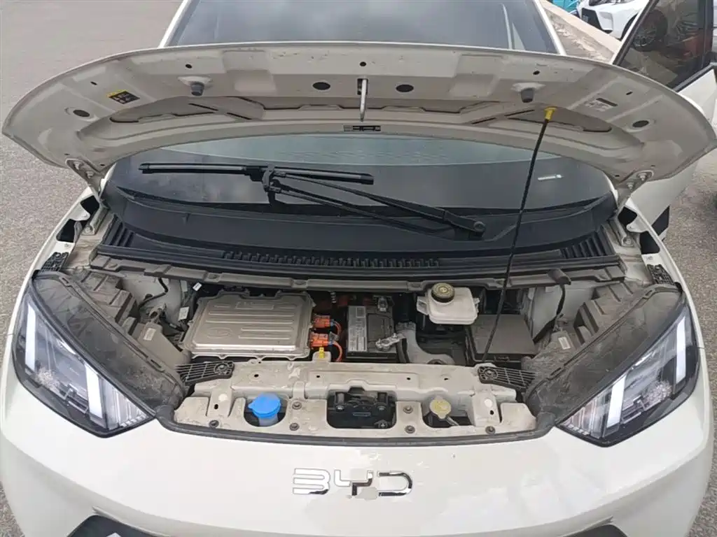 BYD Seagull 2024 Glory Edition 305km Freedom Edition фото 20