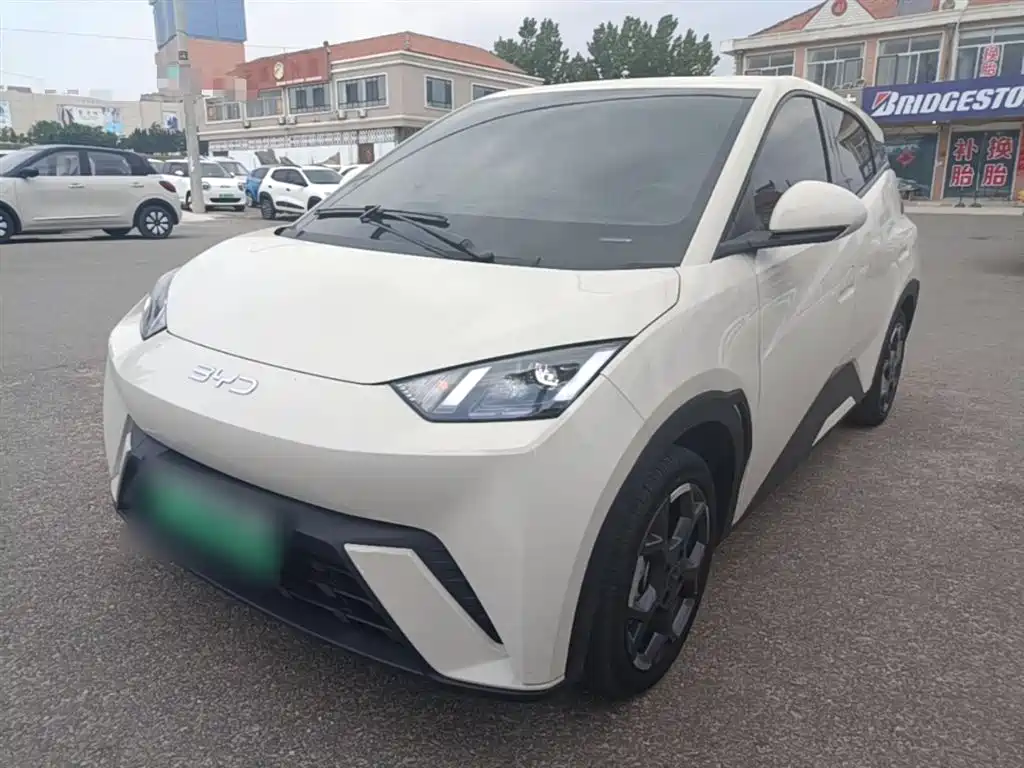 BYD Seagull 2024 Glory Edition 305km Freedom Edition