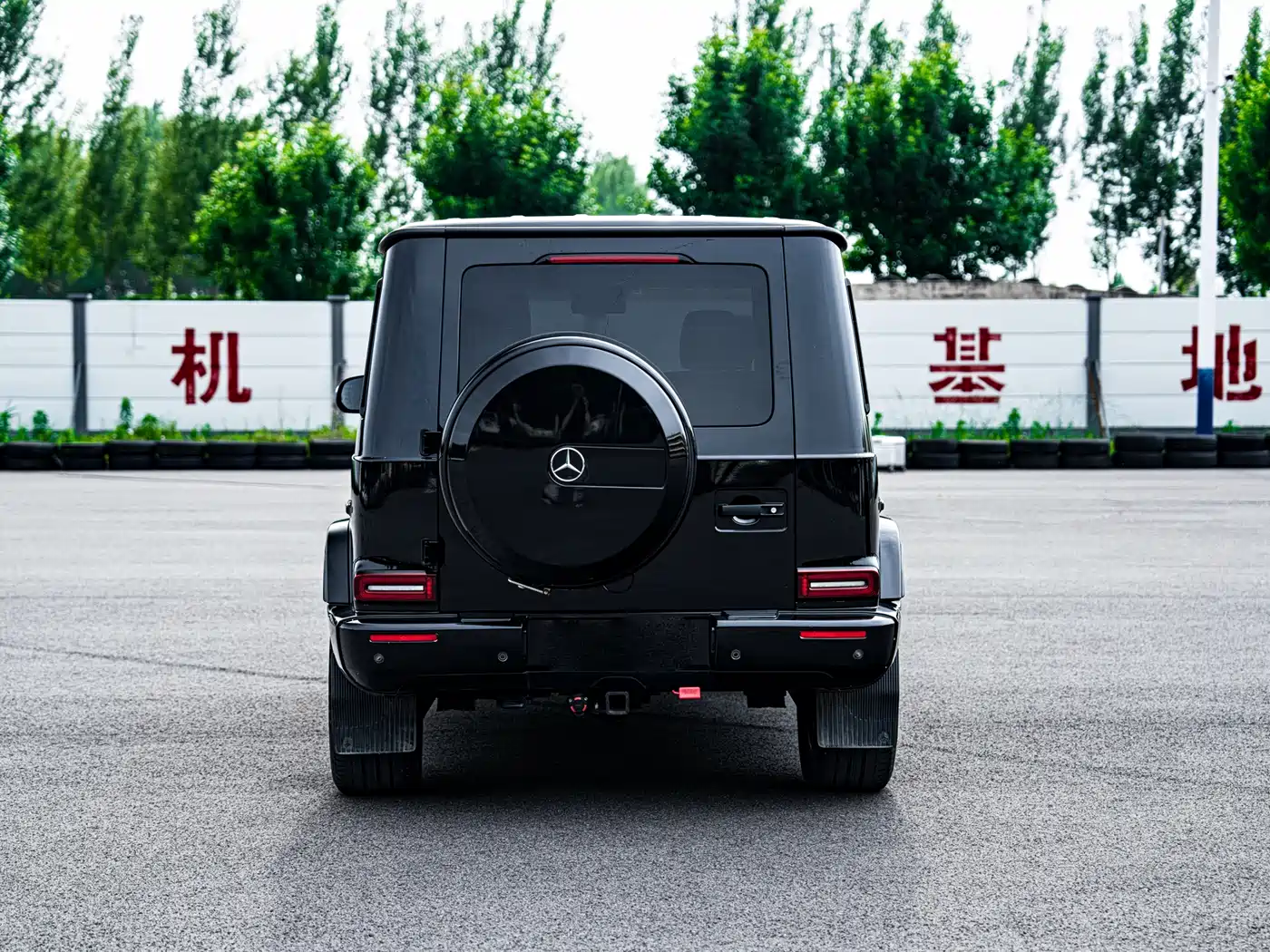 Mercedes-Benz G-Class 2020 G 350 фото 6