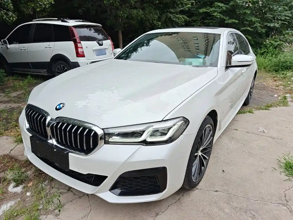 BMW 5 Series 2023 530Li Leading M Sport Package