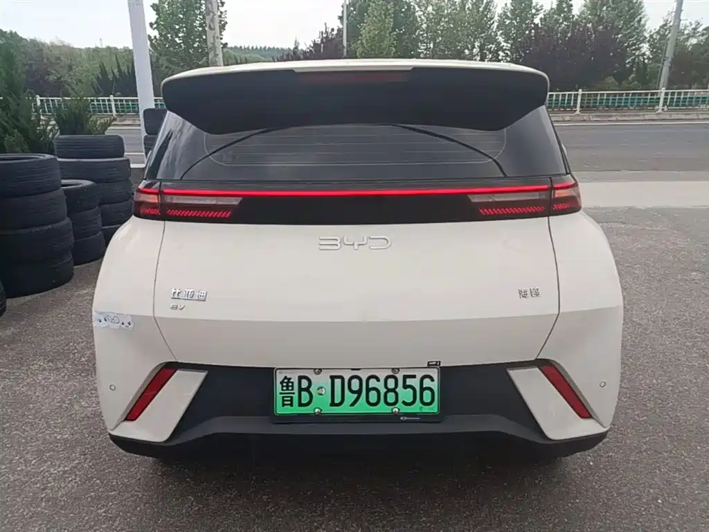 BYD Seagull 2024 Glory Edition 305km Freedom Edition фото 6