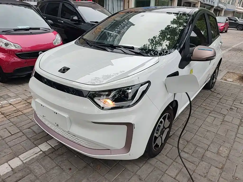Sehol Flower Fairy 2022 2021 Jimei Edition 302km Luxury